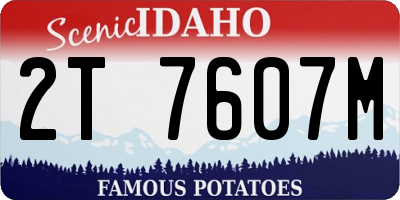 ID license plate 2T7607M
