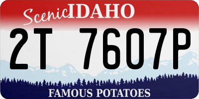 ID license plate 2T7607P