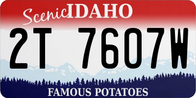 ID license plate 2T7607W