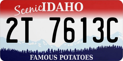 ID license plate 2T7613C