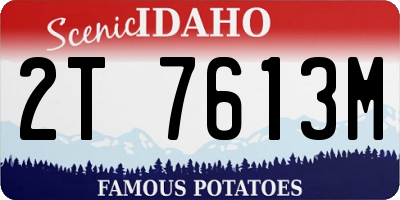 ID license plate 2T7613M