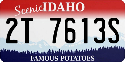 ID license plate 2T7613S