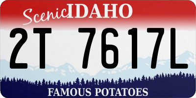 ID license plate 2T7617L