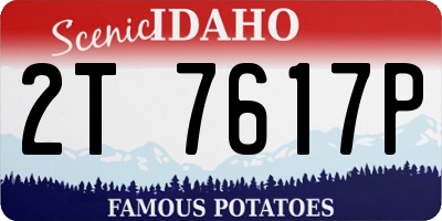 ID license plate 2T7617P