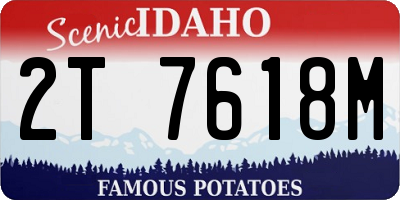 ID license plate 2T7618M
