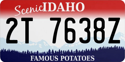 ID license plate 2T7638Z