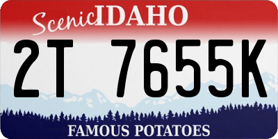 ID license plate 2T7655K