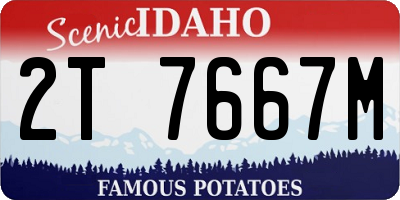ID license plate 2T7667M