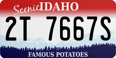 ID license plate 2T7667S