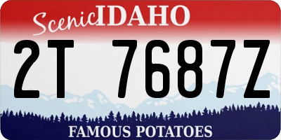 ID license plate 2T7687Z