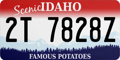 ID license plate 2T7828Z