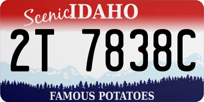 ID license plate 2T7838C