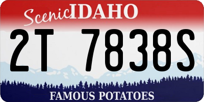 ID license plate 2T7838S