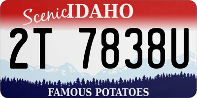 ID license plate 2T7838U