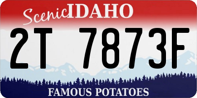 ID license plate 2T7873F