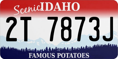 ID license plate 2T7873J