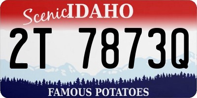 ID license plate 2T7873Q