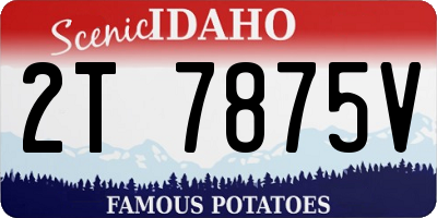 ID license plate 2T7875V
