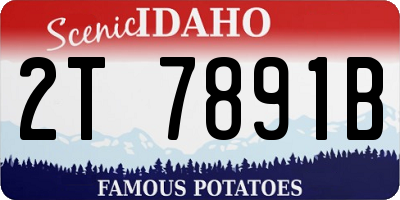 ID license plate 2T7891B
