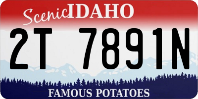 ID license plate 2T7891N