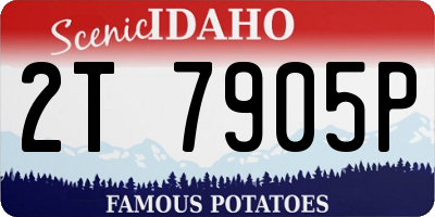 ID license plate 2T7905P