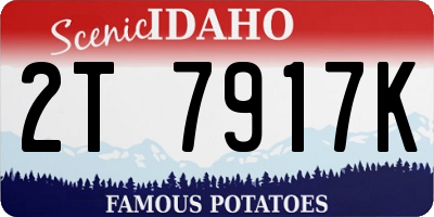 ID license plate 2T7917K