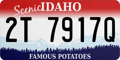 ID license plate 2T7917Q