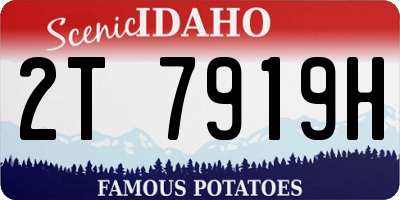 ID license plate 2T7919H