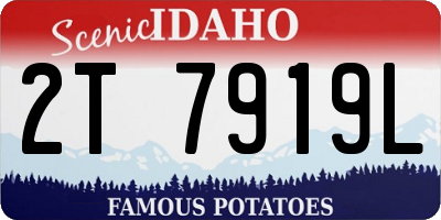 ID license plate 2T7919L