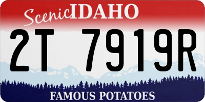 ID license plate 2T7919R