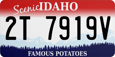 ID license plate 2T7919V