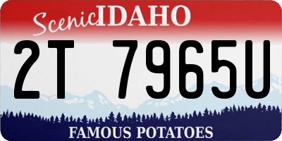 ID license plate 2T7965U