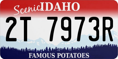ID license plate 2T7973R