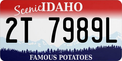 ID license plate 2T7989L