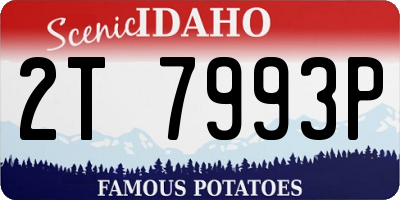 ID license plate 2T7993P