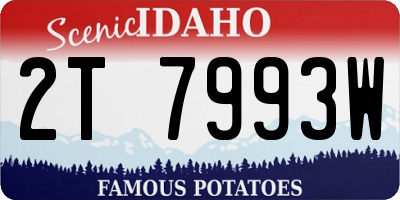 ID license plate 2T7993W