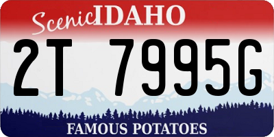 ID license plate 2T7995G