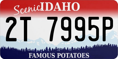 ID license plate 2T7995P