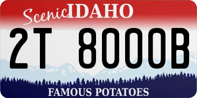 ID license plate 2T8000B