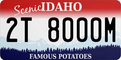 ID license plate 2T8000M