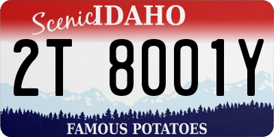 ID license plate 2T8001Y