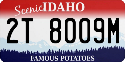 ID license plate 2T8009M