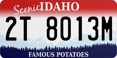 ID license plate 2T8013M
