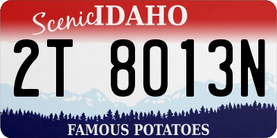 ID license plate 2T8013N