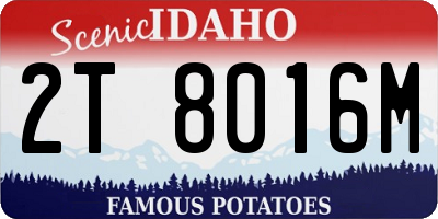 ID license plate 2T8016M