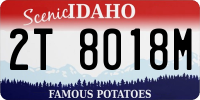 ID license plate 2T8018M