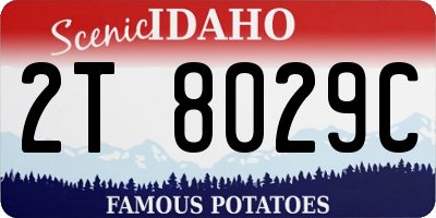 ID license plate 2T8029C