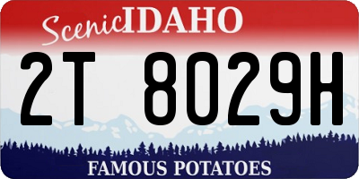 ID license plate 2T8029H