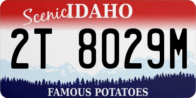 ID license plate 2T8029M