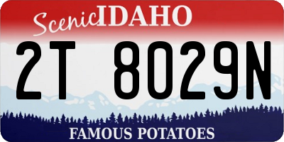 ID license plate 2T8029N